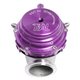 Tial - Wastegate MV-R