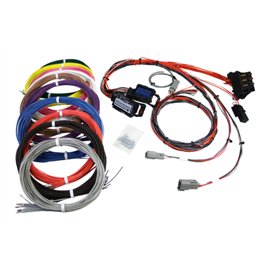 AEM Infinity-8/10/12 & 812 Full Harness for GM LS Engines 24x
