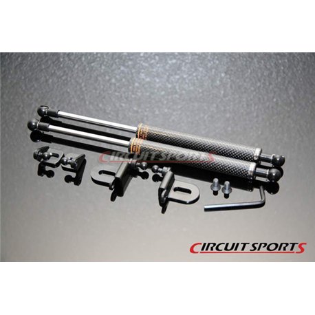 Circuit Sports - INFINITI G35 CARBON ENGINE HOOD DAMPER