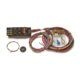 Painless 10 Circuit Chassis Harness