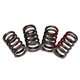 Brian Crower - SR20DET Springs and Retainers Kit