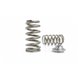 Kelford Beehive Valve Springs and Titanium Retainer Kit - Nissan Skyline GTR RB26